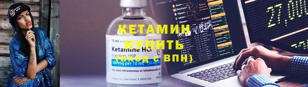 шишки Беломорск