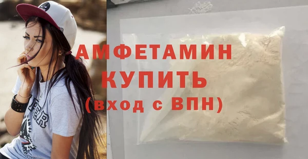 шишки Беломорск