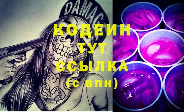 шишки Беломорск