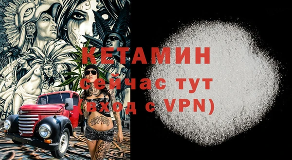 шишки Беломорск