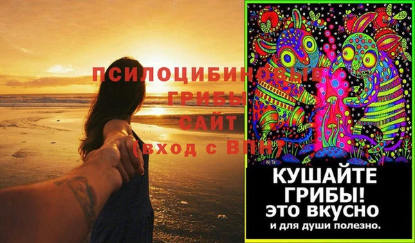 шишки Беломорск
