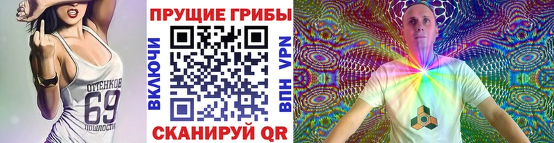 МЕГА как войти  Кизилюрт  Псилоцибиновые грибы Psilocybe 